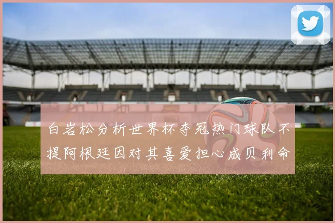白岩松分析世界杯夺冠热门球队不提阿根廷因对其喜爱担心成贝利命运