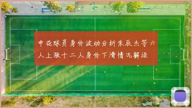 申花球员身价波动分析朱辰杰等六人上涨十二人身价下滑情况解读